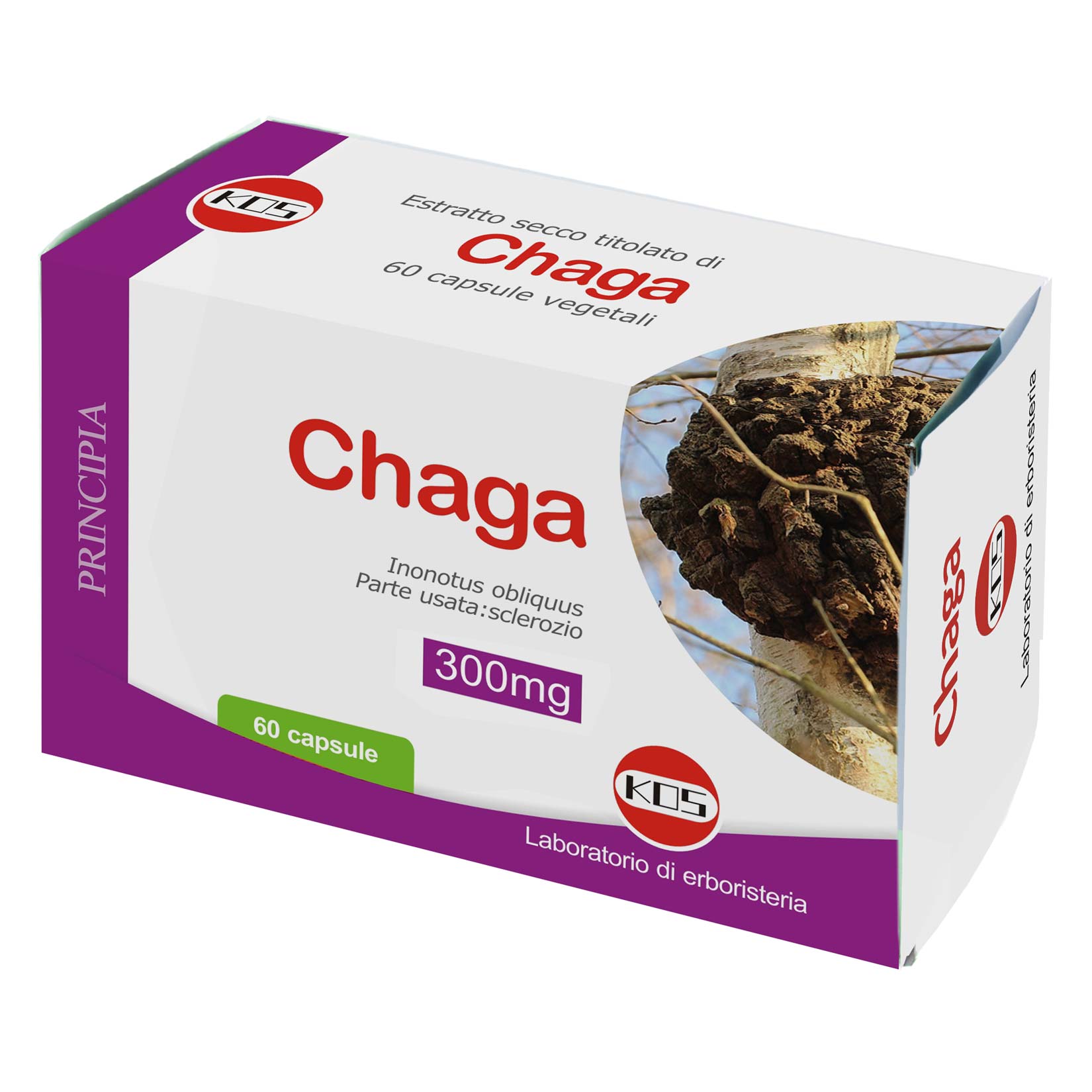 Chaga 60 capsule