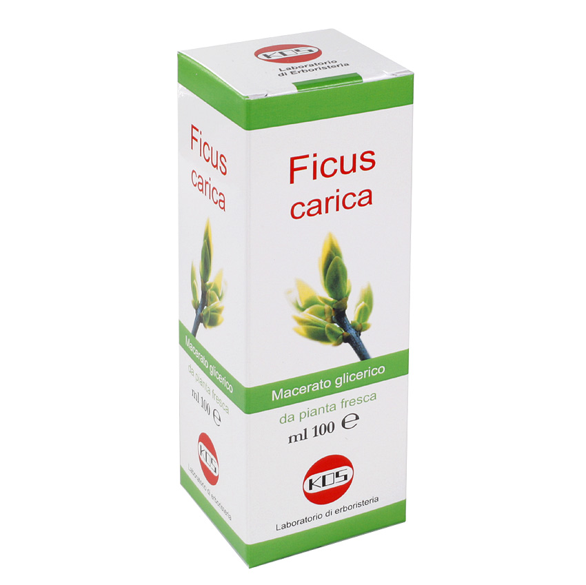Ficus Carica M.G. ml 100           