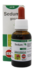 Sedum Gocce ml 30                  